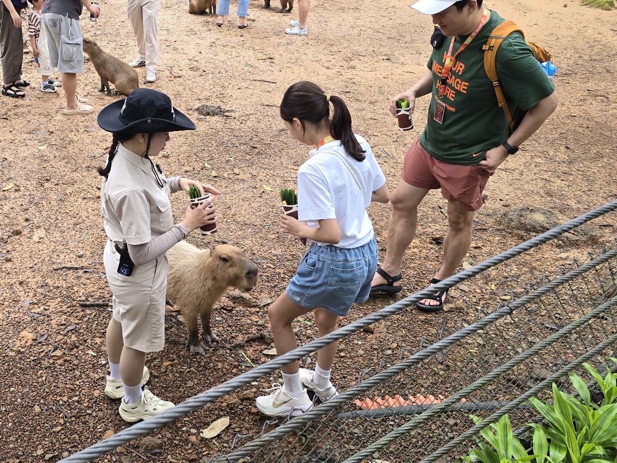 카피바라 먹이 주기
